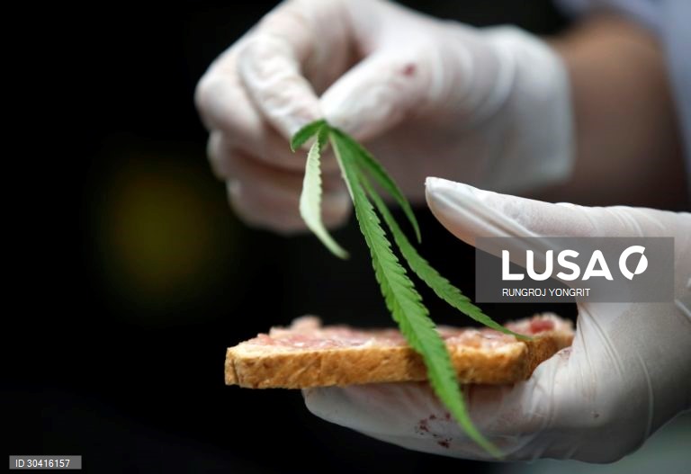 O primeiro restaurante de canábis da Tailândia