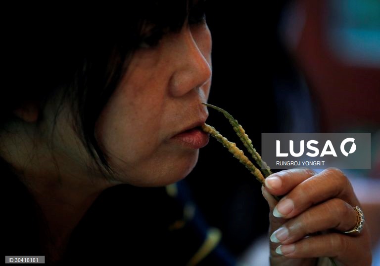 O primeiro restaurante de canábis da Tailândia