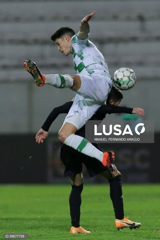Moreirense vs Benfica