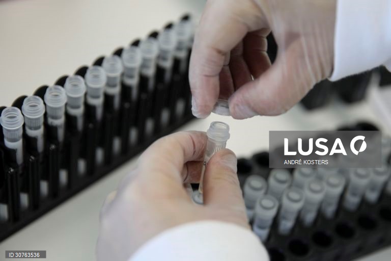 Mergulhados em dados, gráficos e relatórios, os investigadores do Instituto Nacional de Saúde Doutor Ricardo Jorge, INSA, que estudam a pandemia em Portugal saltaram para a linha da frente no combate à covid-19, desenhando cenários com o poder de influenciar decisões que afetam os 10 milhões de portugueses, em Lisboa, 24 fevereiro 2021. (ACOMPANHA TEXTO DA LUSA DO DIA 27 FEVEREIRO 2021). ANDRÉ KOSTERS/LUSA