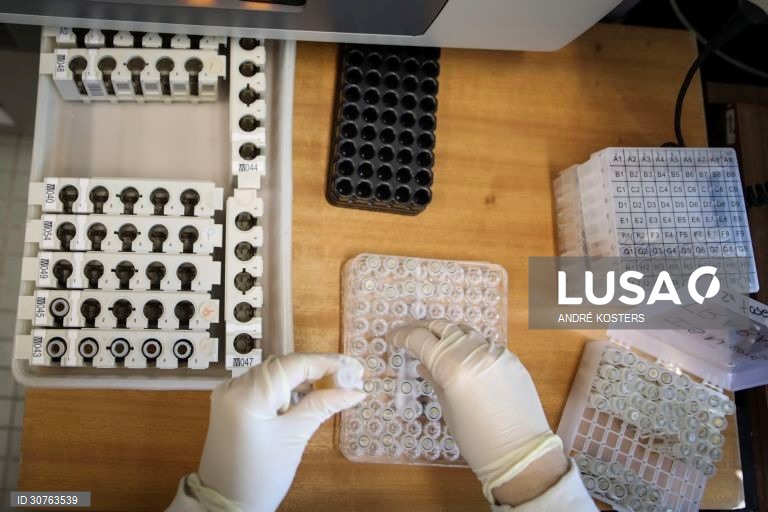 Mergulhados em dados, gráficos e relatórios, os investigadores do Instituto Nacional de Saúde Doutor Ricardo Jorge, INSA, que estudam a pandemia em Portugal saltaram para a linha da frente no combate à covid-19, desenhando cenários com o poder de influenciar decisões que afetam os 10 milhões de portugueses, em Lisboa, 24 fevereiro 2021. (ACOMPANHA TEXTO DA LUSA DO DIA 27 FEVEREIRO 2021). ANDRÉ KOSTERS/LUSA