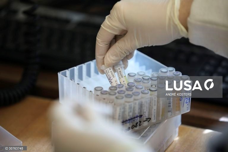 Mergulhados em dados, gráficos e relatórios, os investigadores do Instituto Nacional de Saúde Doutor Ricardo Jorge, INSA, que estudam a pandemia em Portugal saltaram para a linha da frente no combate à covid-19, desenhando cenários com o poder de influenciar decisões que afetam os 10 milhões de portugueses, em Lisboa, 24 fevereiro 2021. (ACOMPANHA TEXTO DA LUSA DO DIA 27 FEVEREIRO 2021). ANDRÉ KOSTERS/LUSA