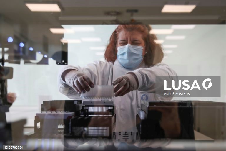 Mergulhados em dados, gráficos e relatórios, os investigadores do Instituto Nacional de Saúde Doutor Ricardo Jorge, INSA, que estudam a pandemia em Portugal saltaram para a linha da frente no combate à covid-19, desenhando cenários com o poder de influenciar decisões que afetam os 10 milhões de portugueses, em Lisboa, 24 fevereiro 2021. (ACOMPANHA TEXTO DA LUSA DO DIA 27 FEVEREIRO 2021). ANDRÉ KOSTERS/LUSA