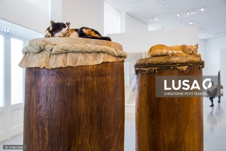 França: Exposição de arte contemporânea em Paris