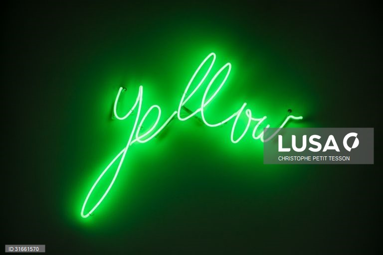 França: Exposição de arte contemporânea em Paris