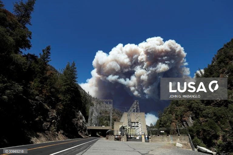 EUA: Incêndio florestal no norte da Califórnia