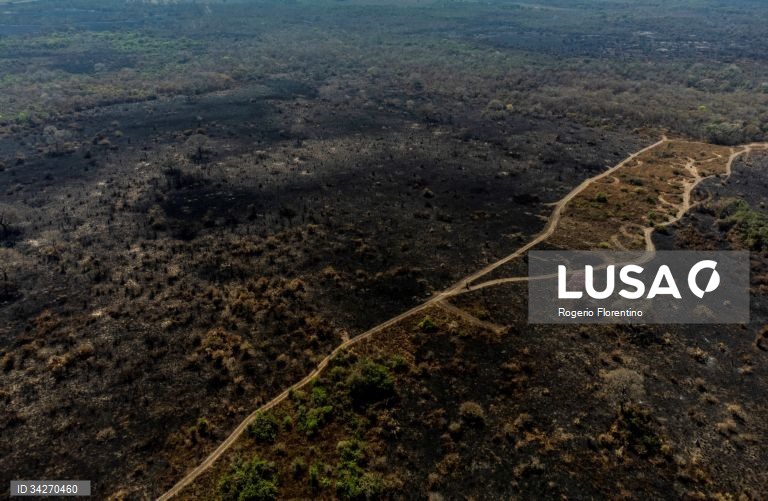 Brasil: Incêndios no Pantanal