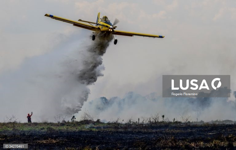 Brasil: Incêndios no Pantanal