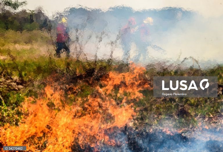 Brasil: Incêndios no Pantanal