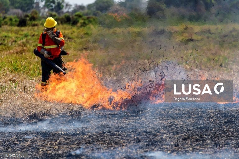 Brasil: Incêndios no Pantanal