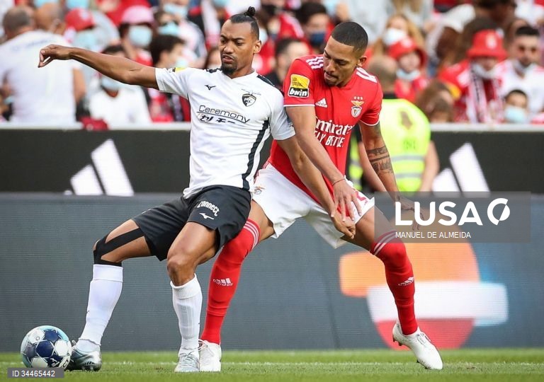 O Benfica sofreu a primeira derrota na I Liga portuguesa de futebol e ficou com uma liderança menos confortável, ao perder por 1-0 na receção ao Portimonense, em jogo da oitava jornada da prova.
