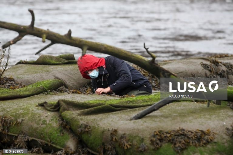 Cientistas e alunos de mestrado e doutoramento na área da ecologia recolhem amostras durante um campo de trabalho ao ar livre, no âmbito de um projeto científico de proteção e conservação dos sapais do estuário do Mondego, na Figueira da Foz, 7 de dezembro de 2021. (ACOMPANHA TEXTO DE 12-12-2021) PAULO NOVAIS/LUSA