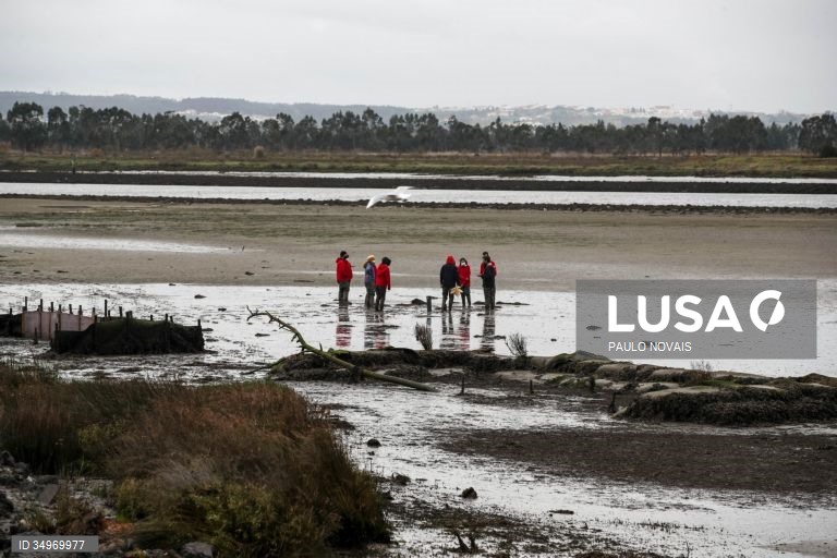Cientistas e alunos de mestrado e doutoramento na área da ecologia recolhem amostras durante um campo de trabalho ao ar livre, no âmbito de um projeto científico de proteção e conservação dos sapais do estuário do Mondego, na Figueira da Foz, 7 de dezembro de 2021. (ACOMPANHA TEXTO DE 12-12-2021) PAULO NOVAIS/LUSA