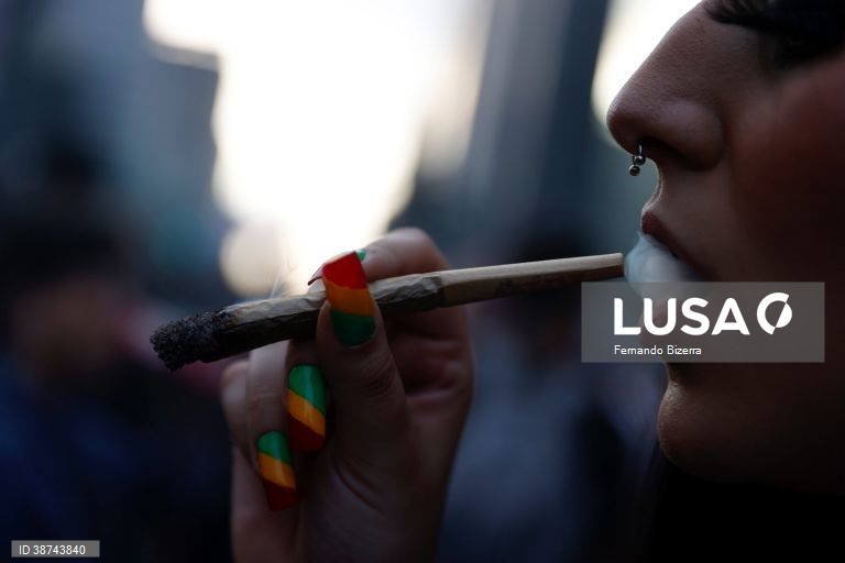 Brasil: Marcha em São Paulo pela legalização da canabis