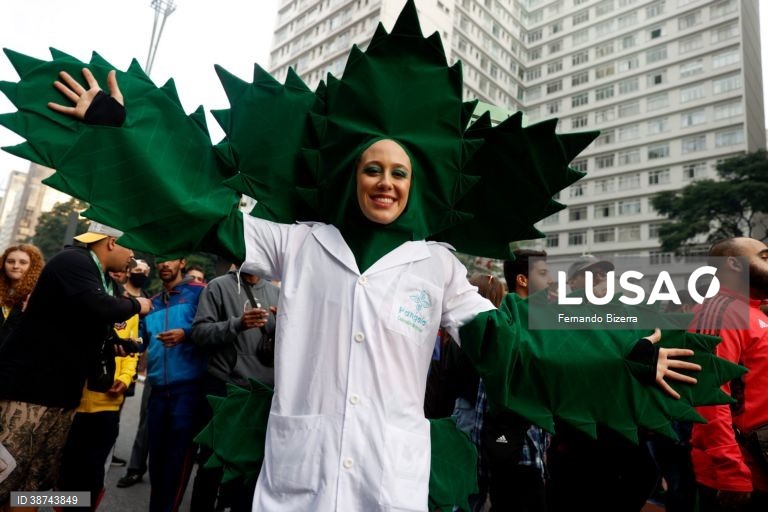 Brasil: Marcha em São Paulo pela legalização da canabis
