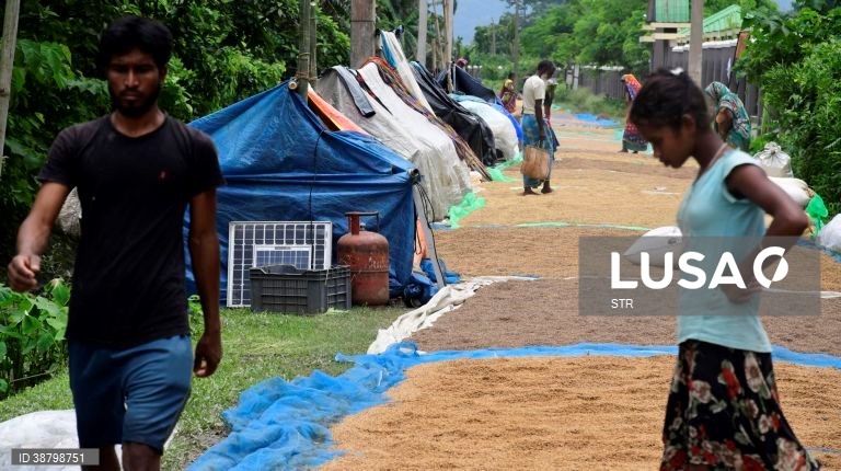 Cheias em Assam, Índia