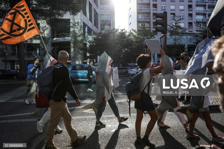 Marcha Azul pelo Clima