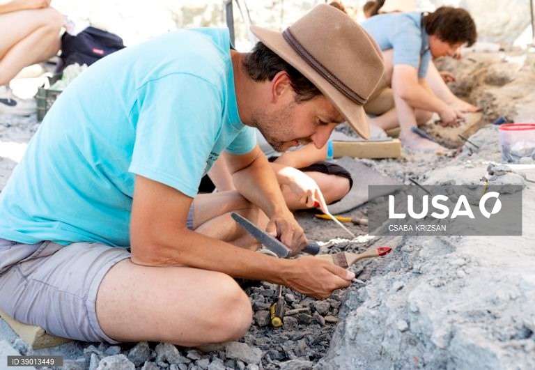 Hungria: escavações arqueológicas nas Montanhas Bakony