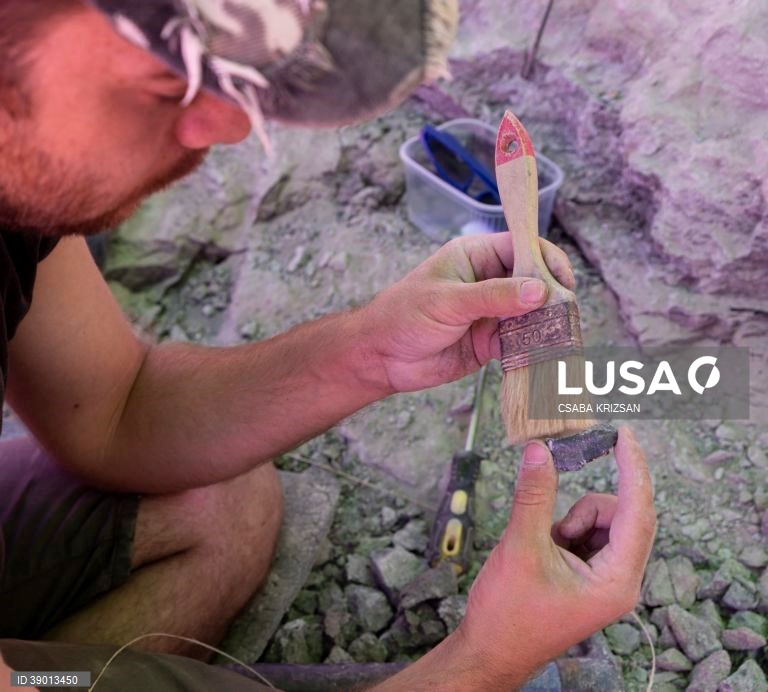 Hungria: escavações arqueológicas nas Montanhas Bakony