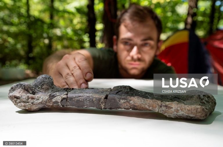 Hungria: escavações arqueológicas nas Montanhas Bakony