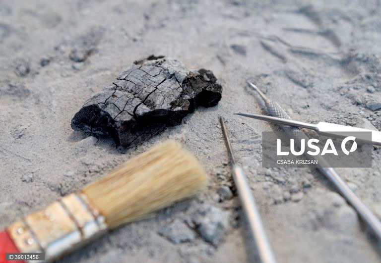 Hungria: escavações arqueológicas nas Montanhas Bakony