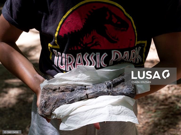 Hungria: escavações arqueológicas nas Montanhas Bakony