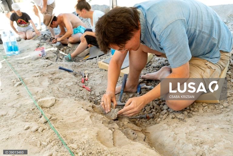 Hungria: escavações arqueológicas nas Montanhas Bakony
