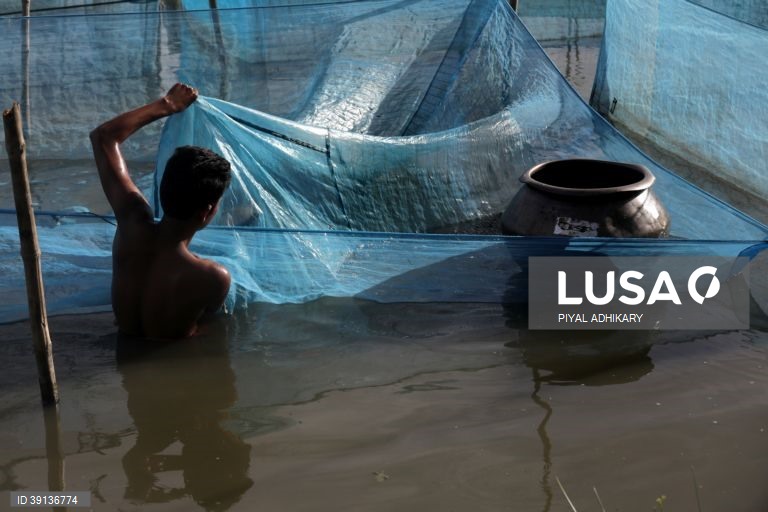 Bengala: Aquicultura enfrenta problemas devido a chuva insuficiente