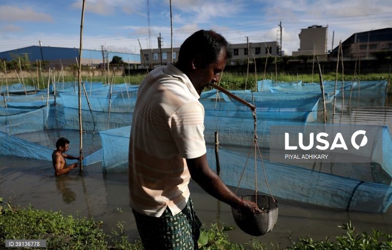 Bengala: Aquicultura enfrenta problemas devido a chuva insuficiente