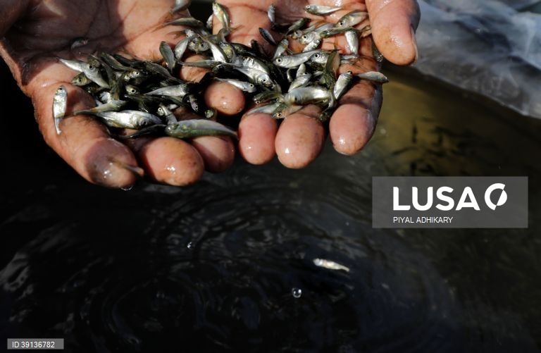 Bengala: Aquicultura enfrenta problemas devido a chuva insuficiente
