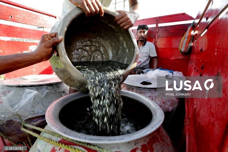 Bengala: Aquicultura enfrenta problemas devido a chuva insuficiente