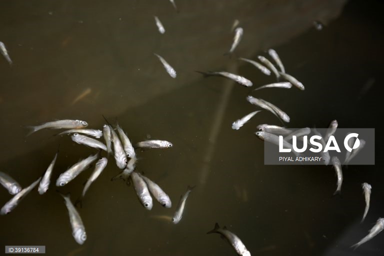 Bengala: Aquicultura enfrenta problemas devido a chuva insuficiente