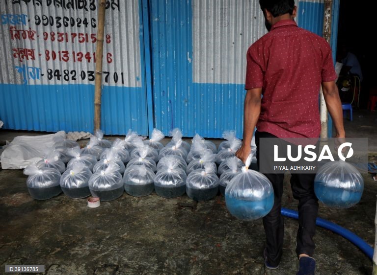 Bengala: Aquicultura enfrenta problemas devido a chuva insuficiente