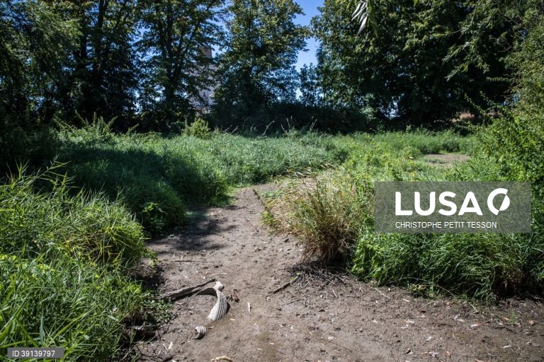 França: Seca na região de Paris