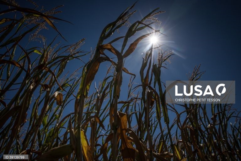 França: Seca na região de Paris