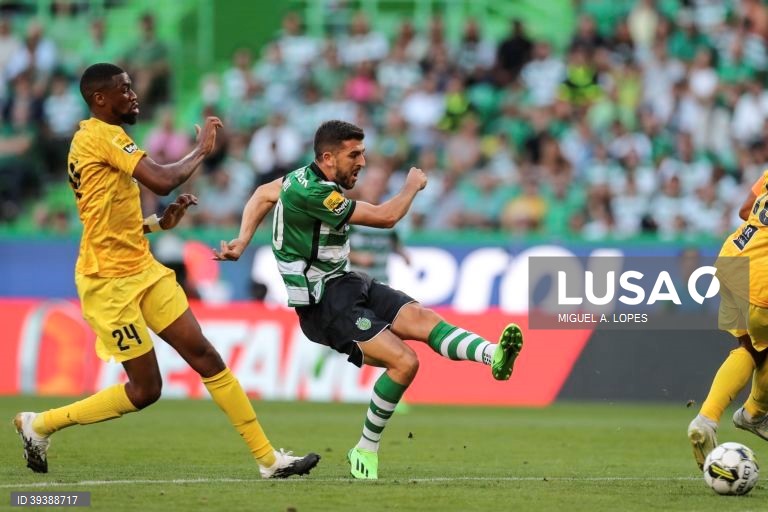 Sporting vs Portimonense