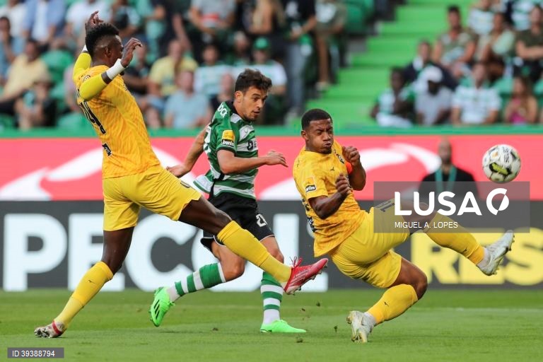 Sporting vs Portimonense