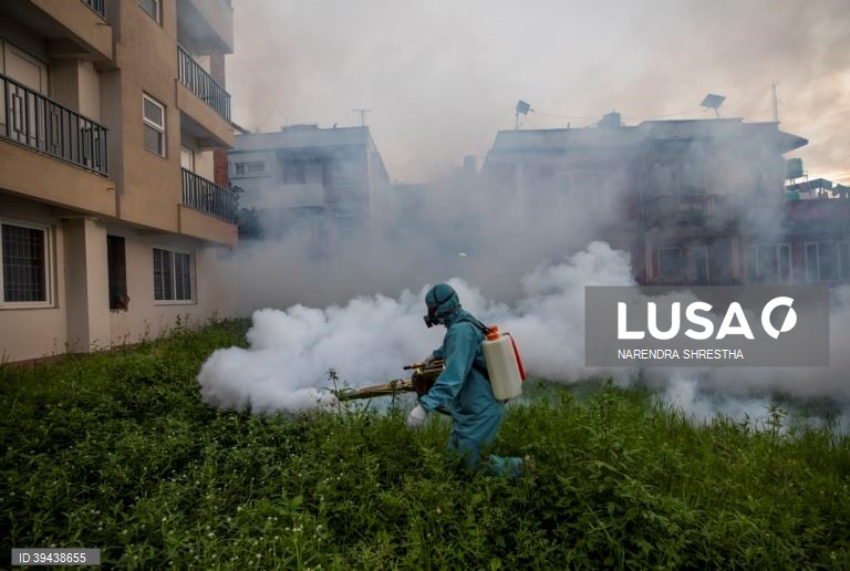 Autoridades em Katmandu intensificam esforços para prevenir o surto de dengue