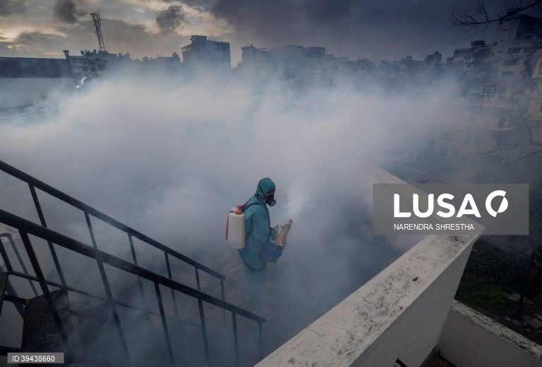 Autoridades em Katmandu intensificam esforços para prevenir o surto de dengue