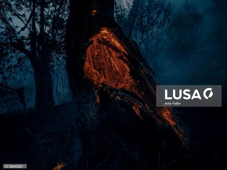 02-10. Adra Pallón é o grande vencedor do prémio de fotojornalismo Estação Imagem 2022, que distingue os melhores trabalhos de fotojornalismo. Trata-se de uma reportagem no norte de Espanha, que aborda o tema dos incêndios florestais, que este ano atingiram na Europa proporções nunca vistas. Coimbra 17 de setembro de 2022. ADRA PALLÓN / ESTAÇÃO IMAGEM / LUSA +++PROIBIDA A COMERCIALIZAÇÃO+++