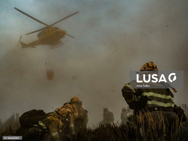 08-10. Adra Pallón é o grande vencedor do prémio de fotojornalismo Estação Imagem 2022, que distingue os melhores trabalhos de fotojornalismo. Trata-se de uma reportagem no norte de Espanha, que aborda o tema dos incêndios florestais, que este ano atingiram na Europa proporções nunca vistas. Coimbra 17 de setembro de 2022. ADRA PALLÓN / ESTAÇÃO IMAGEM / LUSA +++PROIBIDA A COMERCIALIZAÇÃO+++