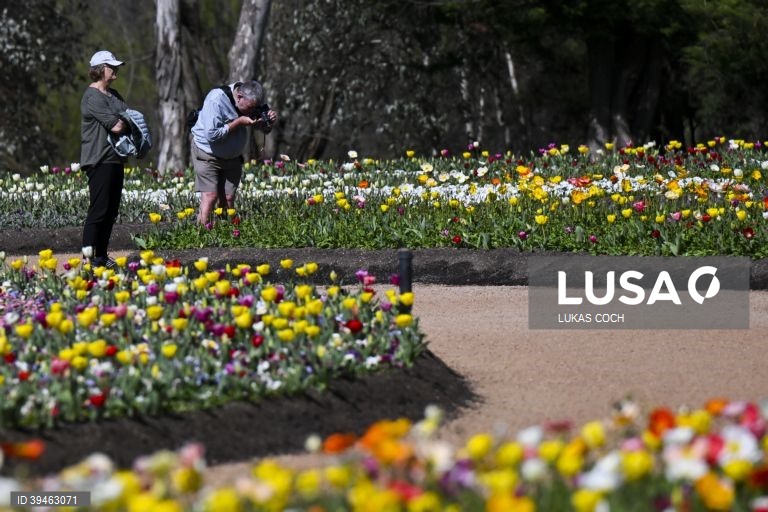 Exposição de flores Floriade 2022 em Camberra, Austrália