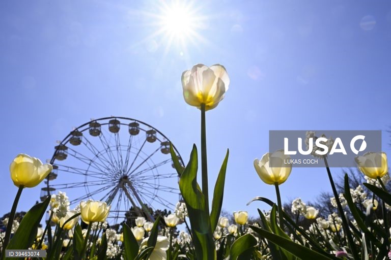 Exposição de flores Floriade 2022 em Camberra, Austrália