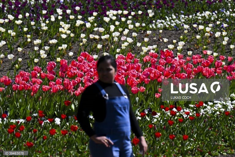 Exposição de flores Floriade 2022 em Camberra, Austrália