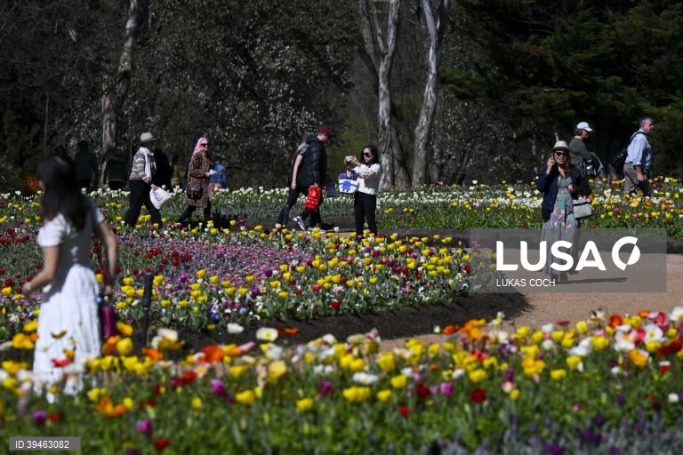 Exposição de flores Floriade 2022 em Camberra, Austrália
