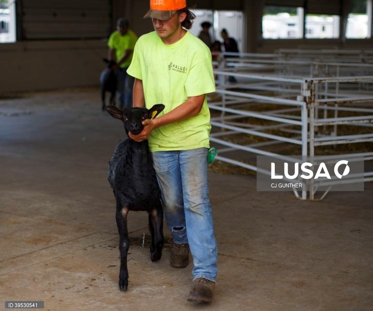 EUA: Exposição agrícola em West Springfield