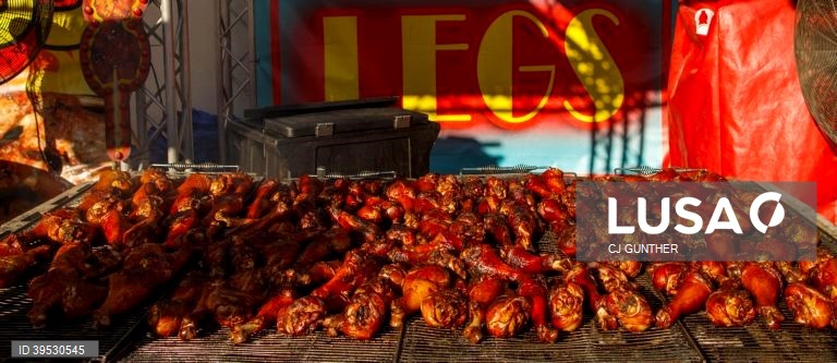 EUA: Exposição agrícola em West Springfield