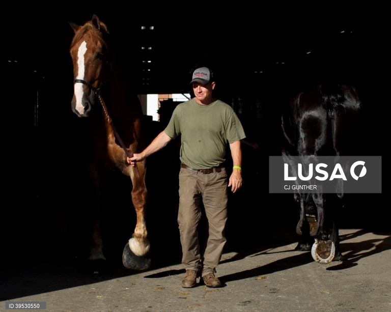 EUA: Exposição agrícola em West Springfield
