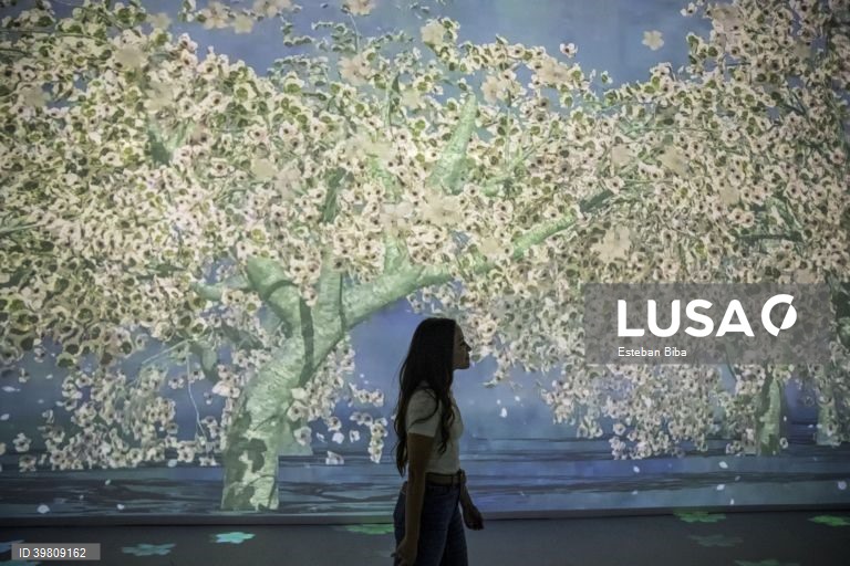 Exposição imersiva de Van Gogh na Guatemala