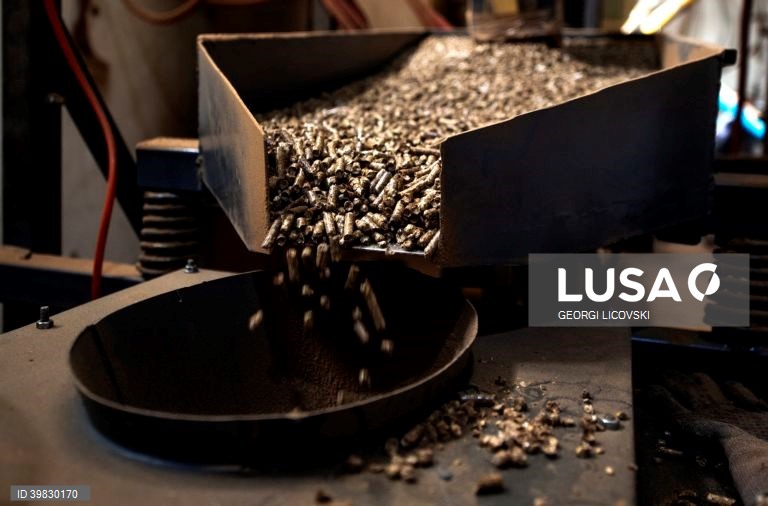 Macedónia do Norte: Crise energética faz disparar os preços da lenha